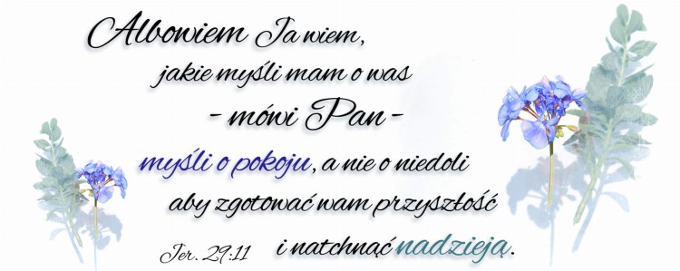 Kwiatki_niebieski_200x80_bit kopia.jpg