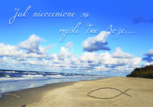 Magnes_rybka_plaża kopia.jpg