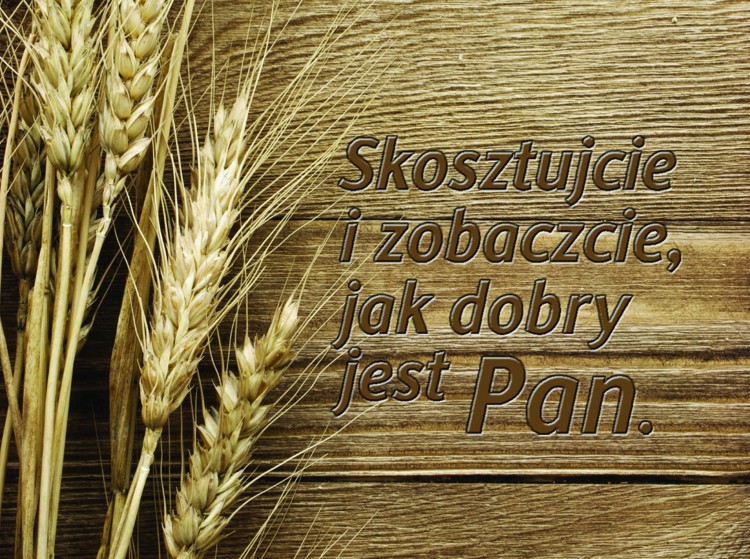 podkładka nowa zboże kopia.jpg